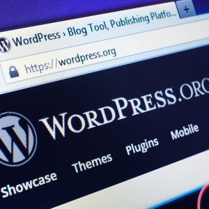 WordPress Security and Maintenance