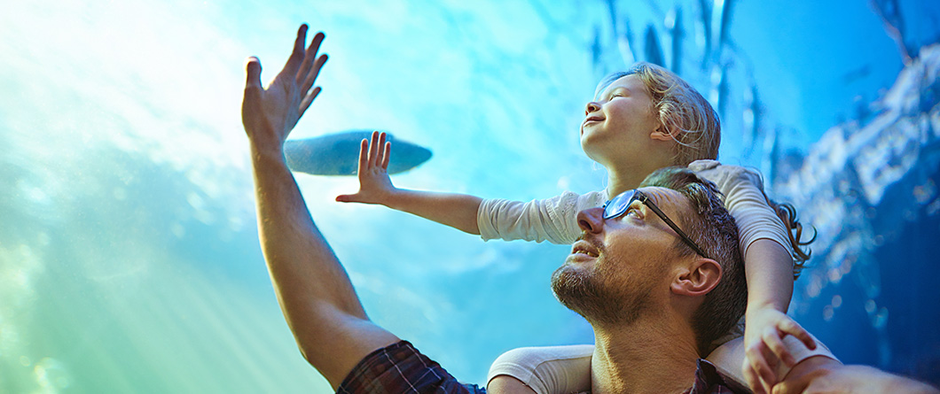 Experiential Marketing for Destinations | Evok Advertising Travel Tourism Marketing Trends in 2026